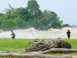 Fenomena Ombak Bono Di Riau