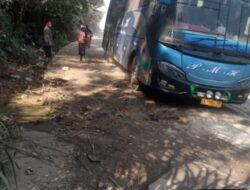 Warga Keluhkan UPT PUPR Wilayah IV Dinilai Tak Tangani Jalan Rusak di Peranap dan Kelayang