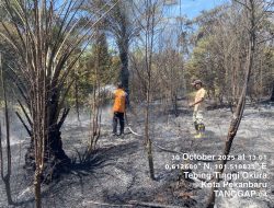 BPBD Kota Pekanbaru Padamkan Titik Api, di Sejumlah Daerah di Kota Pekanbaru