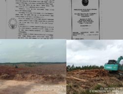 Diduga Abaikan Putusan MA, Aktivitas Penebangan PT Arara Abadi Masih Berlangsung di Lahan Adat Batin Sengeri
